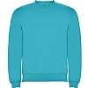 Sudadera Clasica Infantil Roly - Color Turquesa 12